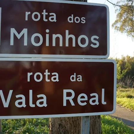 Forest Terrace De Mira