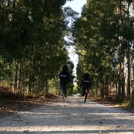 Apartament Forest Terrace De Mira Praia de Mira