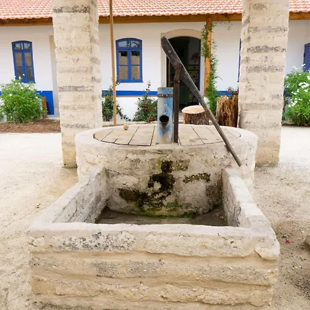 Apartament Forest Terrace De Mira