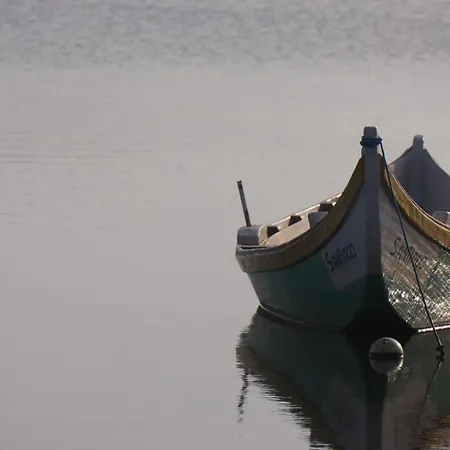 Forest Terrace De Mira Apartament Praia de Mira