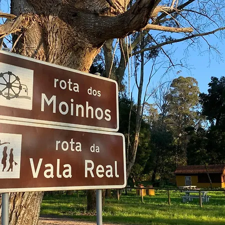 Apartament Forest Terrace De Mira Praia de Mira