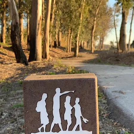 Forest Terrace De Mira *