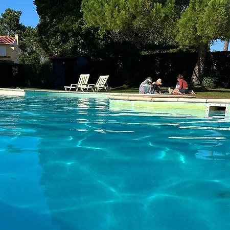 Forest Terrace De Mira Apartament