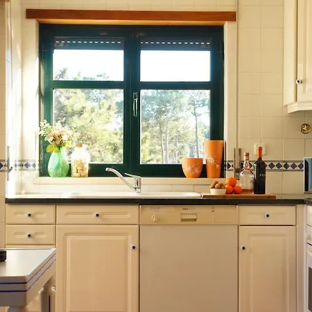 Forest Terrace De Mira Apartment Praia de Mira