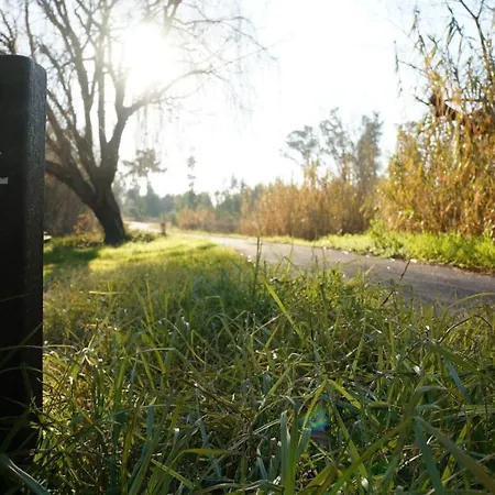 Apartment Forest Terrace De Mira *