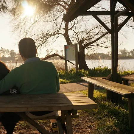 Apartment Forest Terrace De Mira *