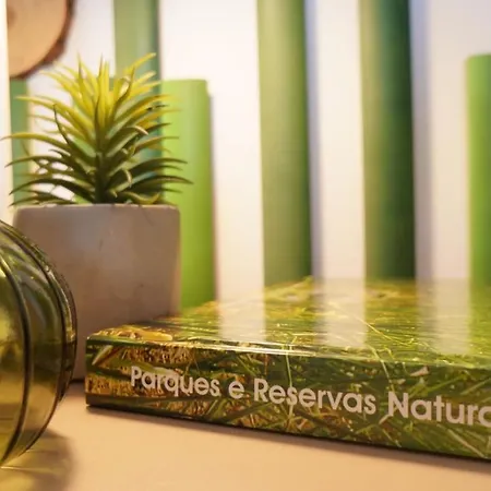 Forest Terrace-praia De Mira By Vadiar Turismo Appartement