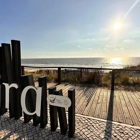 Forest Terrace-Praia De Mira By Vadiar Turismo