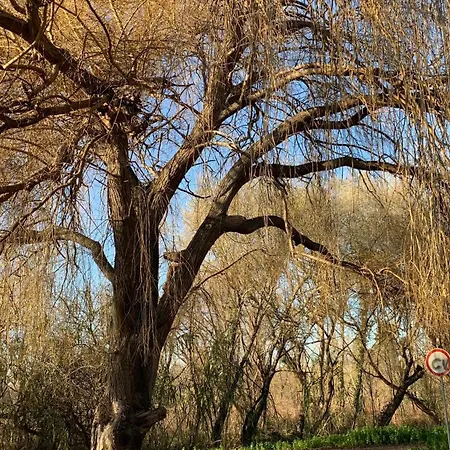 Forest Terrace De Mira Apartment *