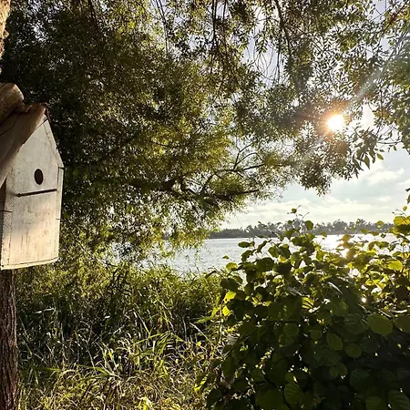 Apartment Forest Terrace De Mira