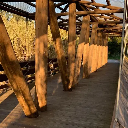 Διαμέρισμα Forest Terrace-Praia De Mira By Vadiar Turismo *