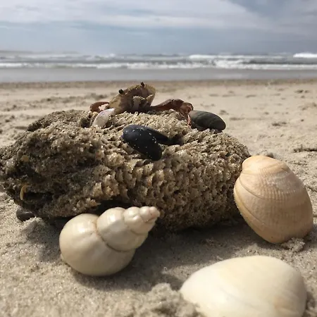 Apartment Forest Terrace De Mira