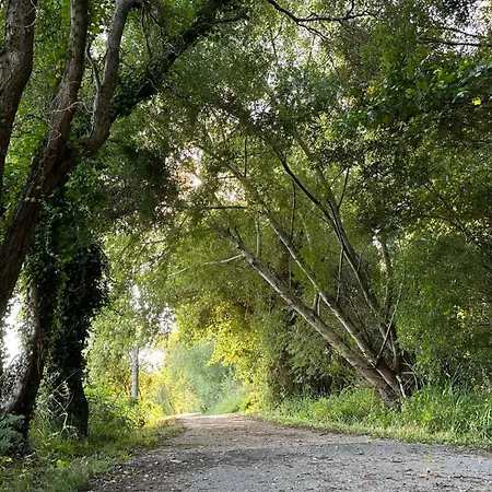 Forest Terrace De Mira Apartment