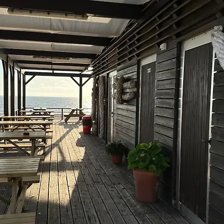 Forest Terrace De Mira