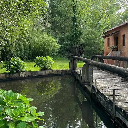 Forest Terrace De Mira Apartment *