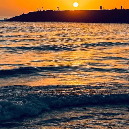 Διαμέρισμα Forest Terrace-Praia De Mira By Vadiar Turismo *