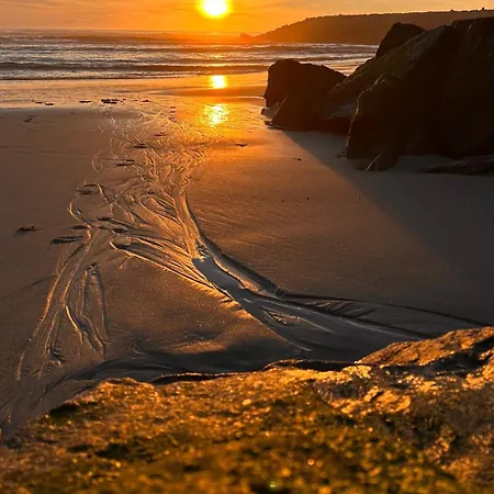 Apartment Forest Terrace De Mira Praia de Mira