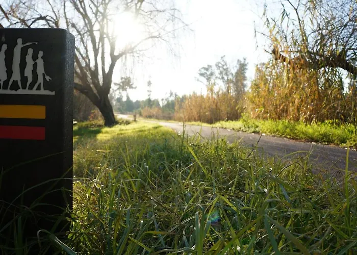 Apartment Forest Terrace De Mira *