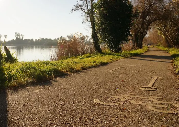 Forest Terrace De Mira Praia de Mira