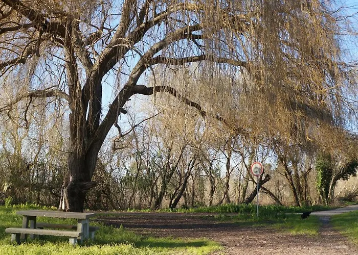 Forest Terrace De Mira Praia de Mira