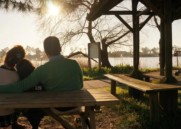 Apartment Forest Terrace De Mira *