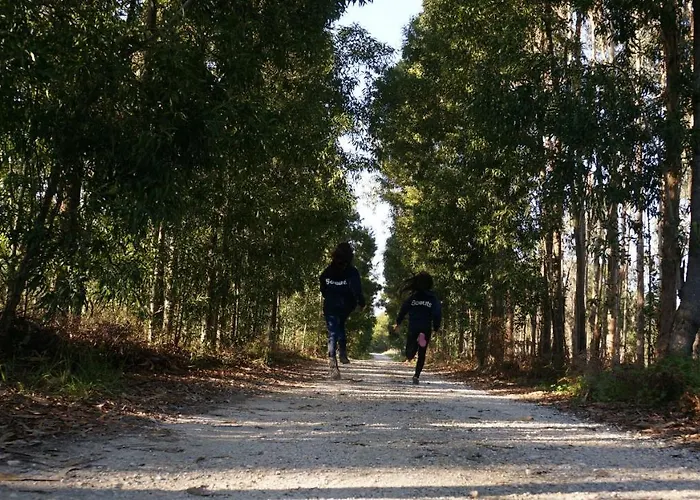 Apartment Forest Terrace De Mira Praia de Mira