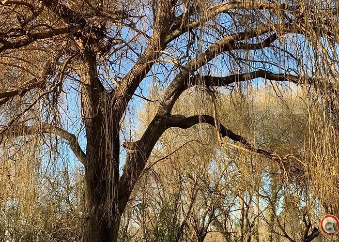 Forest Terrace De Mira Apartment *