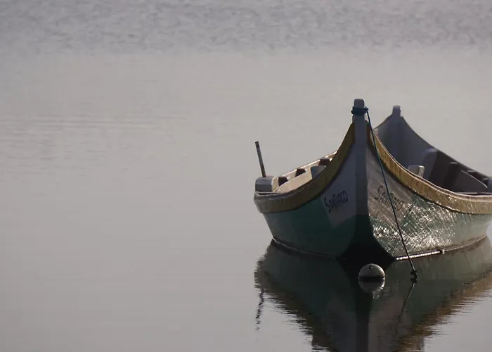 Forest Terrace De Mira Apartment Praia de Mira