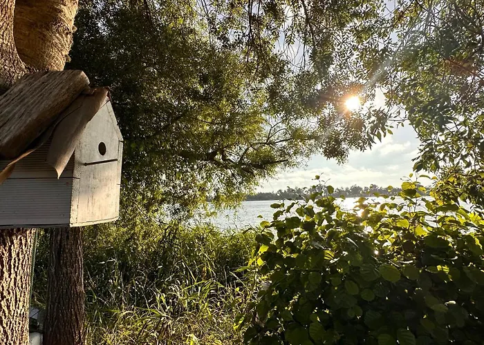 Apartment Forest Terrace De Mira