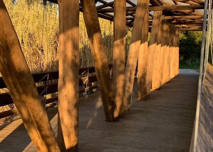 Apartment Forest Terrace De Mira *