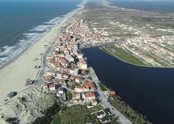 Forest Terrace De Mira