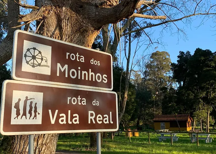 Apartment Forest Terrace De Mira Praia de Mira