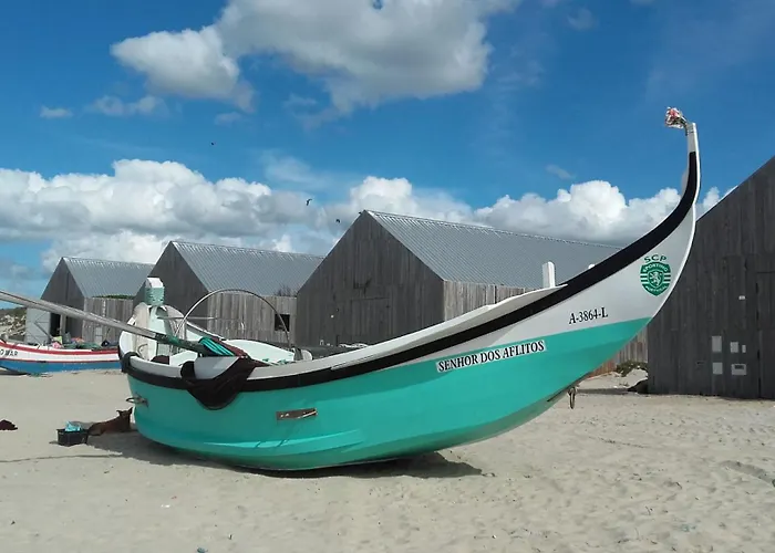 Forest Terrace De Mira Apartment Praia de Mira