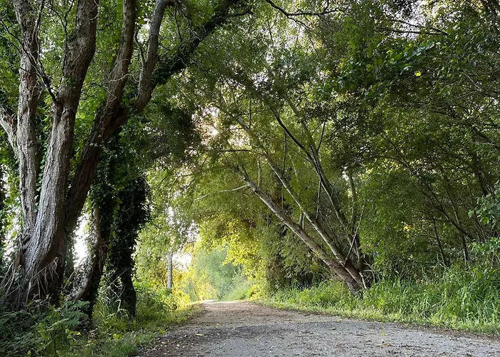 Forest Terrace De Mira Apartment