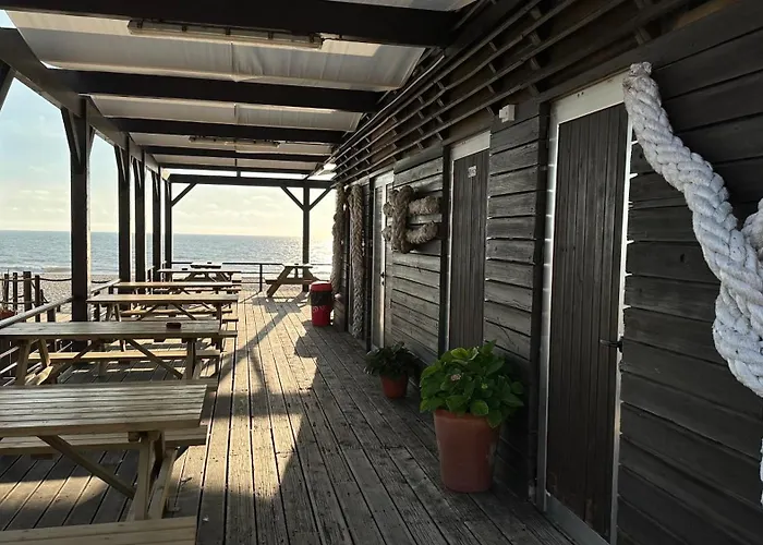 Forest Terrace De Mira