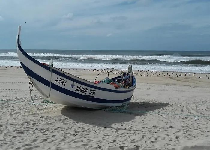 Apartment Forest Terrace De Mira