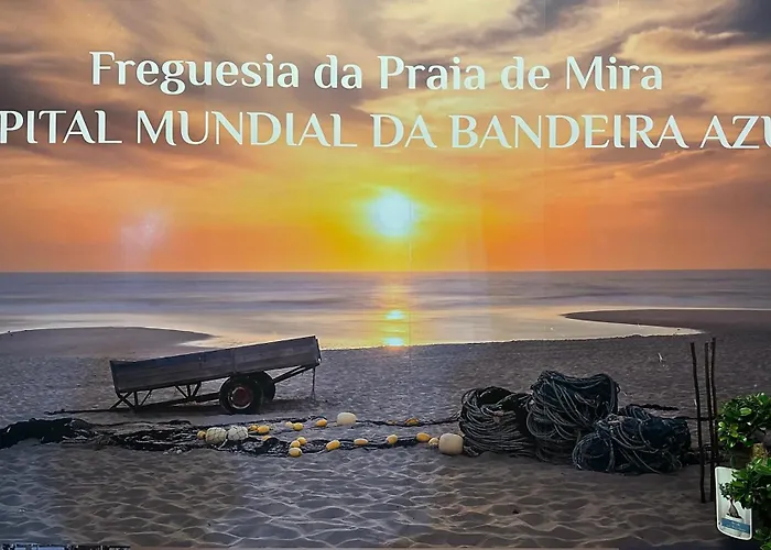 Forest Terrace De Mira *