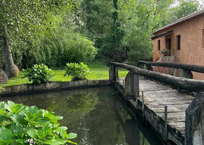 Forest Terrace De Mira Apartment *