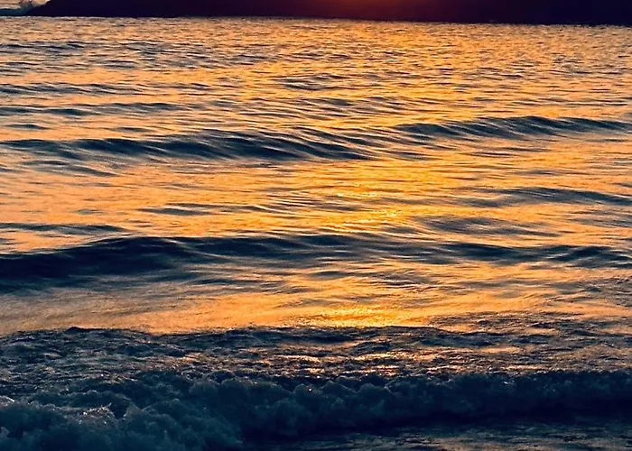 Apartment Forest Terrace De Mira *