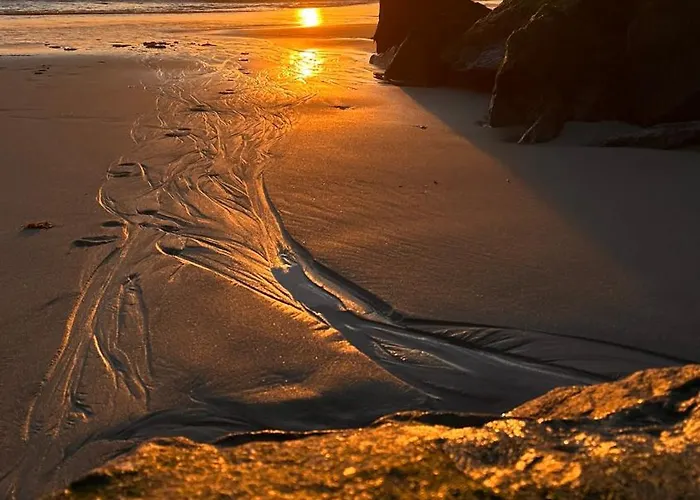 Apartment Forest Terrace De Mira Praia de Mira